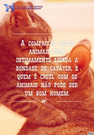 Frase de Arthur Schopenhauer